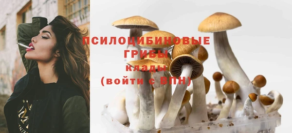 дурь Липки