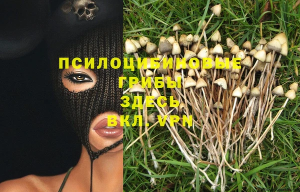 дурь Липки