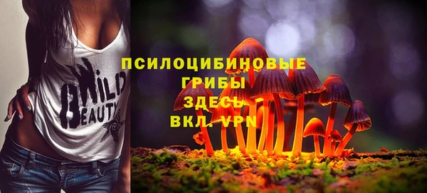 дурь Липки