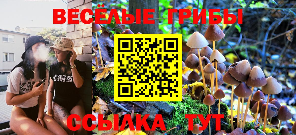 Галлюциногенные грибы MAGIC MUSHROOMS  Вход с VPN  Усть-Джегута 